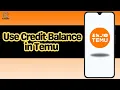 How to Use Credit Balance in Temu
