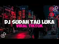 Download Lagu DJ SUDAH TAU LUKA DI DALAM DADAKU VIRAL TIK TOK TERBARU 2023 YANG KALIAN CARI !