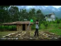 Download Lagu The former gangster left the big city to return to a small village to live happily with his dog.