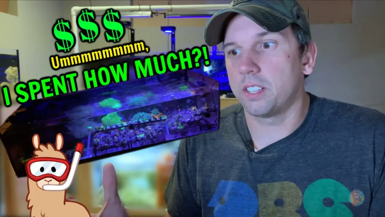 Cost of My Reef Aquarium Setup (my small coral farm)