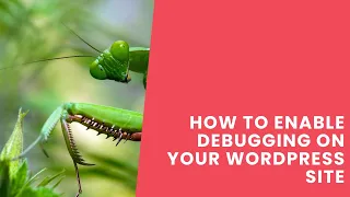 How To Enable Debugging On Your WordPress Site