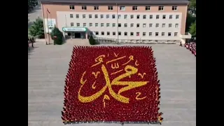                     دندنها