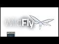 WildFly application server installation User-creation run server jboss