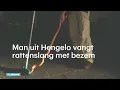 Man uit Hengelo vangt slang met bezem: ‘Ik kijk Discovery’   - RTL NIEUWS