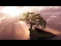 Daniil Shafran - Rachmaninoff - Cello Sonata in G minor, Op 19
