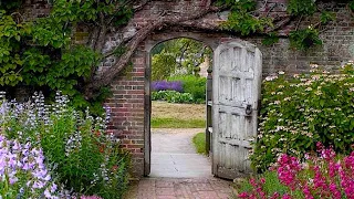 فيروز دارة الحبيب 