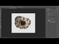Unity Raycast Shoot BulletHoles