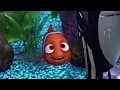 Nigel tells Nemo