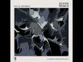 Echos (Felix Räuber Remix)