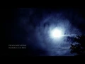 FIELD ROTATION - Gedanken wie diese