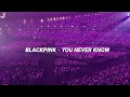 Download Lagu BLACKPINK - YOU NEVER KNOW | BUT YOU'RE IN A CONCERT | CONCERT ARENA AUDIO | EMPTY ARENA |