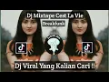 DJ BREAKFUNK MIXTAPE CEST LA VIE SOUND Yadi ofn VIRAL TIK TOK TERBARU 2023 YANG KALIAN CARI !!