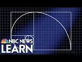 The Golden Ratio Divine Proportion From Math and Nature