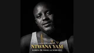 kabza de small u0026 nobuhle ntwana yam 