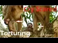Download Lagu Part2 - Disappointed Ashley Do Kidnapped and Tortured Baby JIlla Deep Hurt and Cry Scared Loudly.