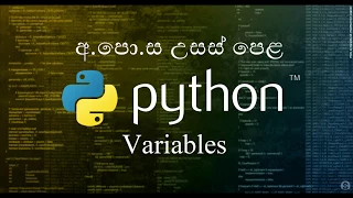 01-variables -