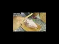 Download Lagu kaleh pache recipe+step by step cleaning
