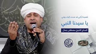 المداح   قصيدة أراني قد مددت إليك روحي يا سيدنا النبي  المداح الشيخ مصطفى جمال دندنها