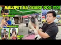 Lagu MATINDE ANG COMBINATION! OKEY NA GWARDYA ITO! BOCAUE BULACAN PET MARKET UPDATE! 01/09/26