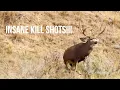 Download Lagu TOP 35 BEST HUNTING KILL SHOTS!! | BOW AND RIFLE!