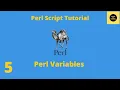 Variables in Perl Script - Perl Script Basics Tutorial