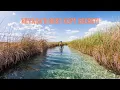 This Oasis is Hidden in the Middle of Nevada s Desert