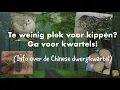 Te weinig plek voor kippen? Neem kwartels! (Info over de Chinese dwergkwartel)