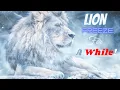 Lagu Lion Freeze For A While #lion #jungle