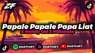 Download DJ PAPALE PAPALE PAPA LIAT X MLODY OLD X MILKSHAKE || MP3