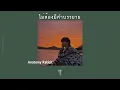 [เนื้อเพลง] ไม่ต้องมีคำบรรยาย - Anatomy Rabbit˖ ⋆໋