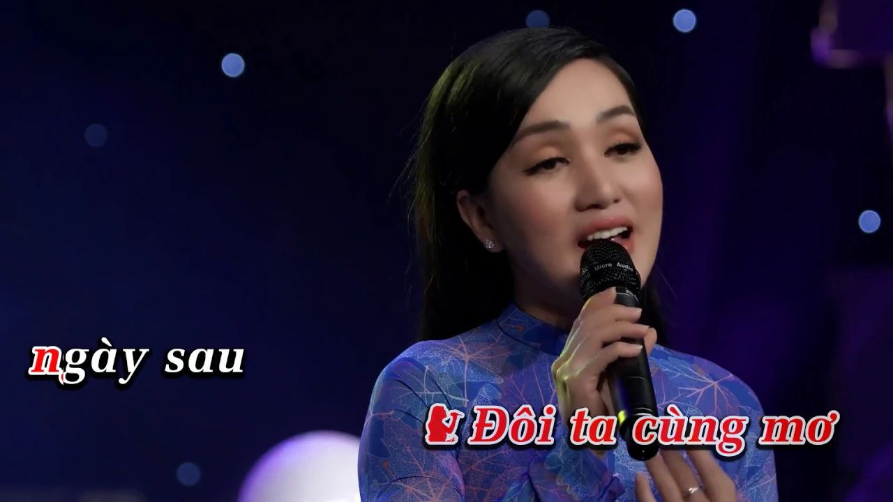 Karaoke Ngày Buồn 