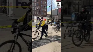 Woman Fatally Struck by FedEx Truck South Loop Chicago E Roosevelt