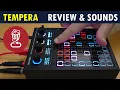 Download Lagu BeetleCrab TEMPERA // A New Approach to Granular Synthesis // Review \u0026 Tutorial