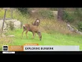 SoCal Spotlight Exploring Burbank