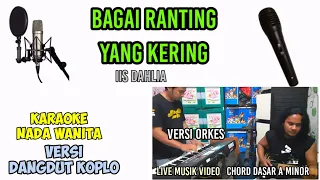 Download BAGAI RANTING YANG KERING KARAOKE DANGDUT KOPLO IIS DAHLIA MP3