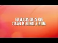 Miguel Mateos - Obsesión (Letra/Lyrics)