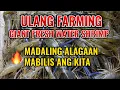 Download Lagu ULANG FARMING PANG NEGOSYO 99.1% INCOME