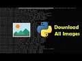 How To Webscrape All Images From A Website In Python