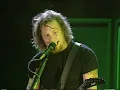 Metallica - King Nothing | Live at Woodstock 99