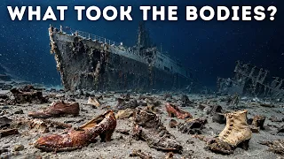 Los muertos del Titanic NUNCA fueron encontrados: esta es la razón