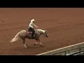 260813 Novice Non Pro Gerry G Beaudoin on The Revolutionist