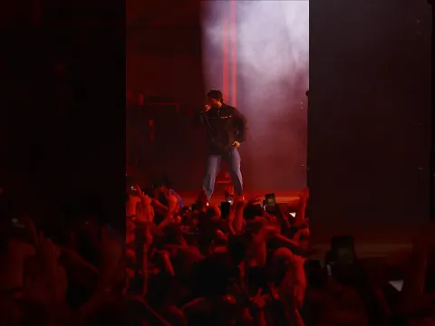 LIVE FROM FOREST HILLS OUT NOW