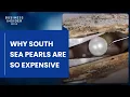 Why South Sea Pearls Are So Expensive So Expensive