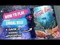 How to Play Ecosystem Coral Reef Board Game Rules Instructions