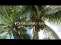 Download Lagu Pohon seribu guna dan banyak ditemui di setiap lingkungan!!!