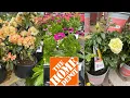 HOME DEPOT BEST NEW PLANTS ARRIVALS FOR HOW TO MAKE YOUR GARDEN BEAUTIFUL