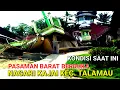 Download Lagu PASAMAN BARAT BERDUKA,NAGARI KAJAI PASCA GEMPA HARI INI@GADING KNL