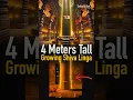 Download Lagu Heb je ooit zo'n grote Shiva Linga gezien?🤯😳🕉️❤️🙏🏽