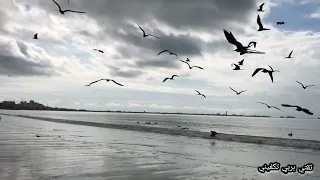 سـورة آلآعرآف مـن آيه 127 آلي 134 للقآرئ عبــد آلرحـمـن آلتمـيمـي 