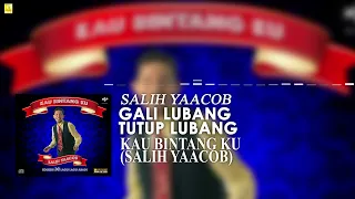salih yaacob gali lubang tutup lubang official stream video 
